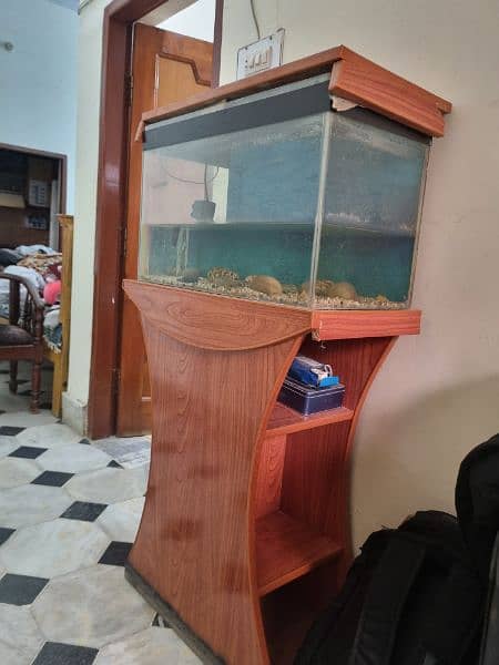 aquarium for sale 1