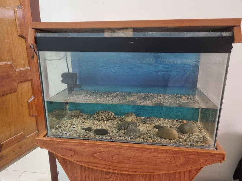 aquarium for sale 2