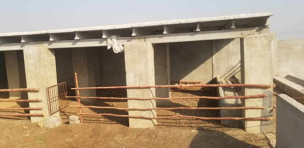 Cattle Farm For Sale Ready To Start A Cattel Bussiness 5