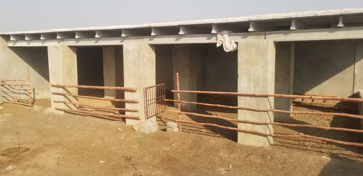 Cattle Farm For Sale Ready To Start A Cattel Bussiness 7