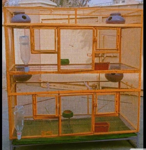 All breeders pair ; cage ; box reasonable price 15