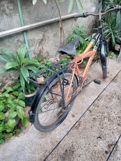 Used Cycle for sale سائیکل برائے فروخت