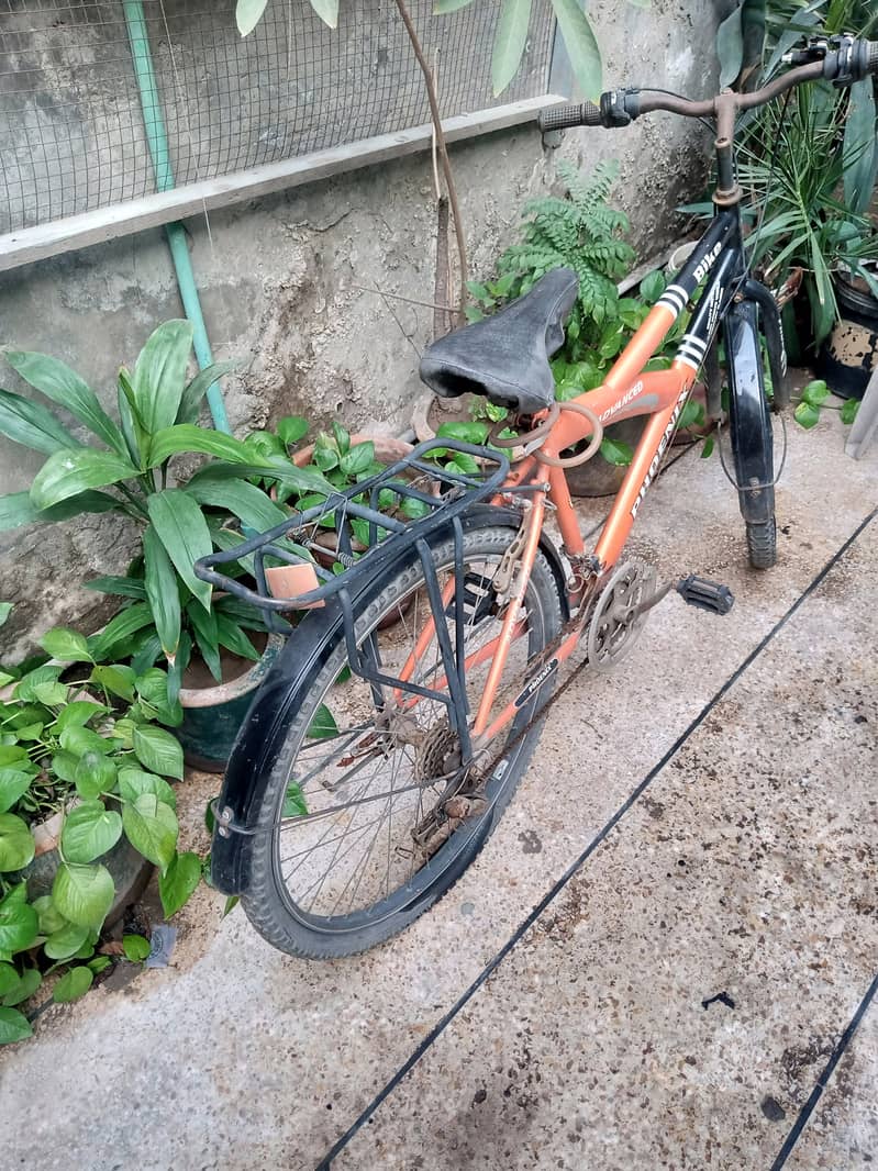 Used Cycle for sale سائیکل برائے فروخت 0