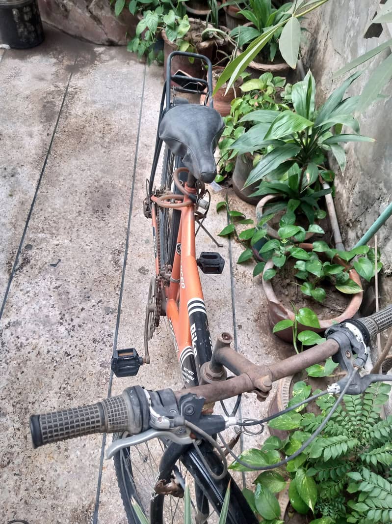 Used Cycle for sale سائیکل برائے فروخت 1