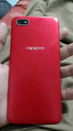 oppo