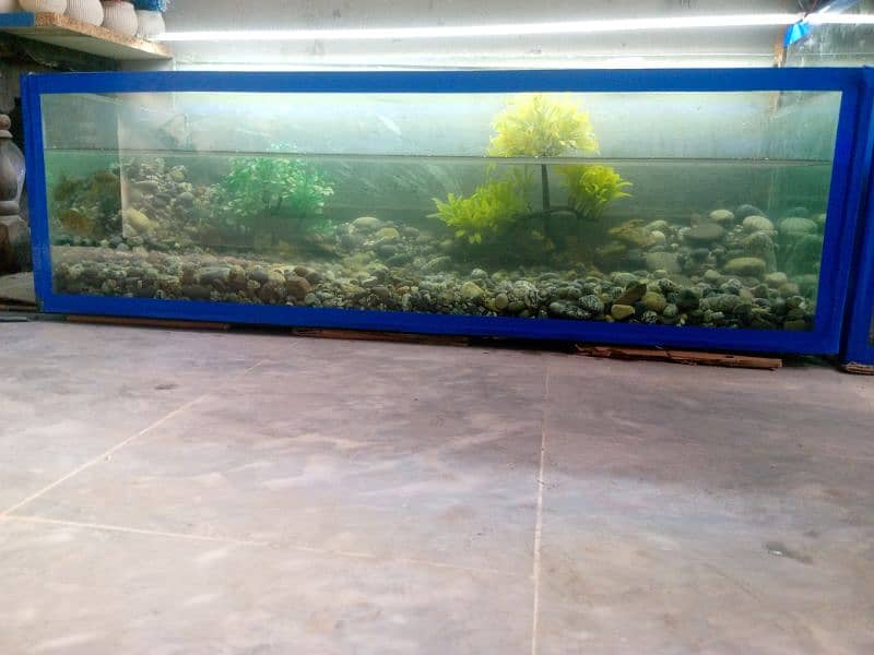 fish aquarium Big size 3