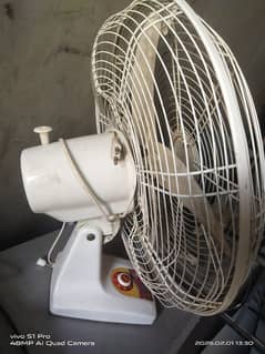 Fan