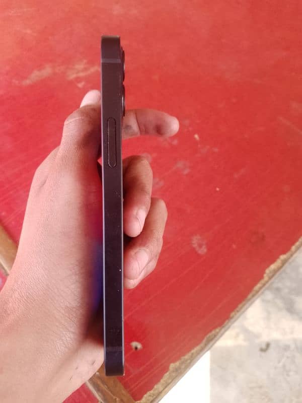 iphone 12mini 4