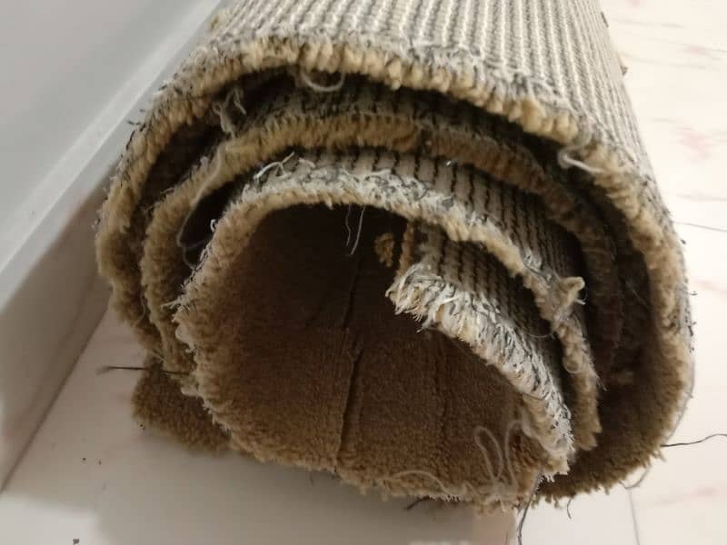 very good thick soft carpet 12*10 6