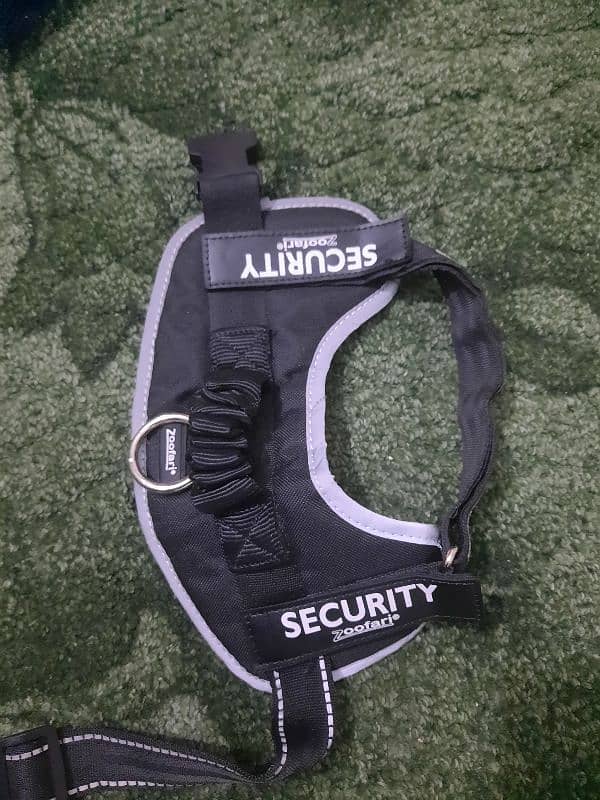 Security Harness and Leash - European Stock - Imported Qulaity 5