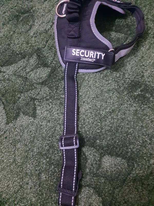 Security Harness and Leash - European Stock - Imported Qulaity 6