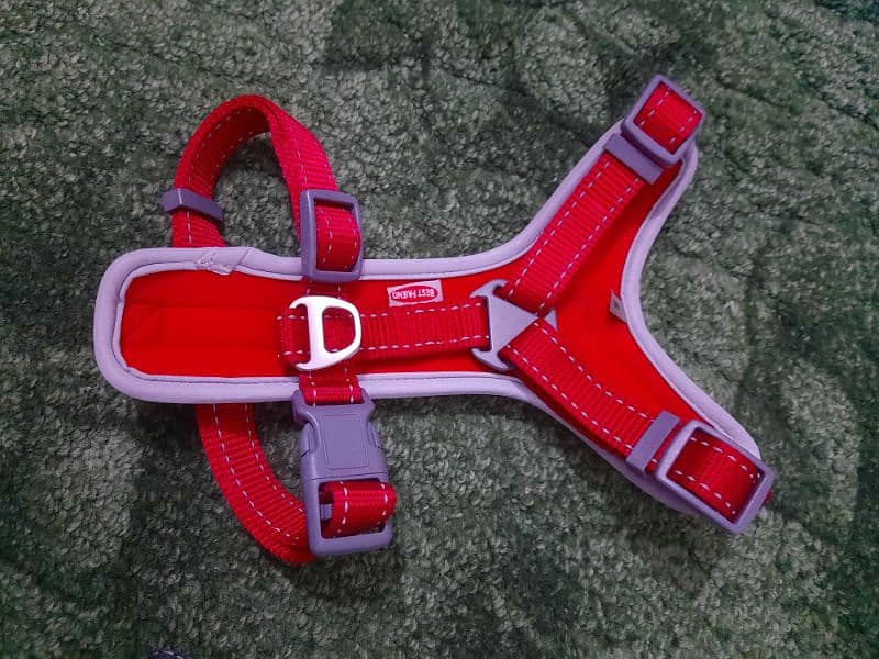 Security Harness and Leash - European Stock - Imported Qulaity 8