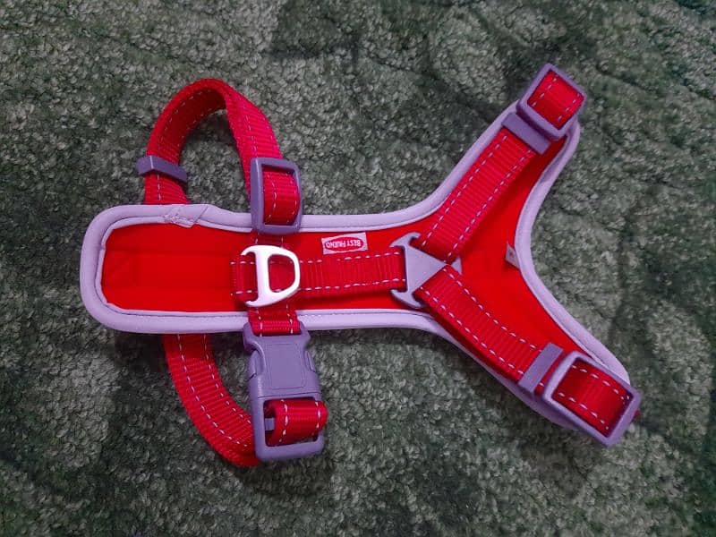 Security Harness and Leash - European Stock - Imported Qulaity 9