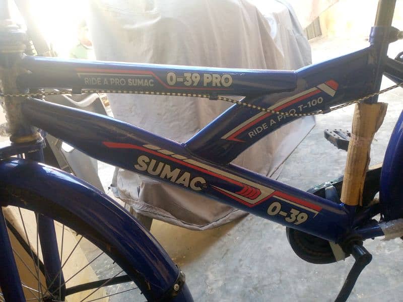 Sumac 0-39 Pro cycle 1