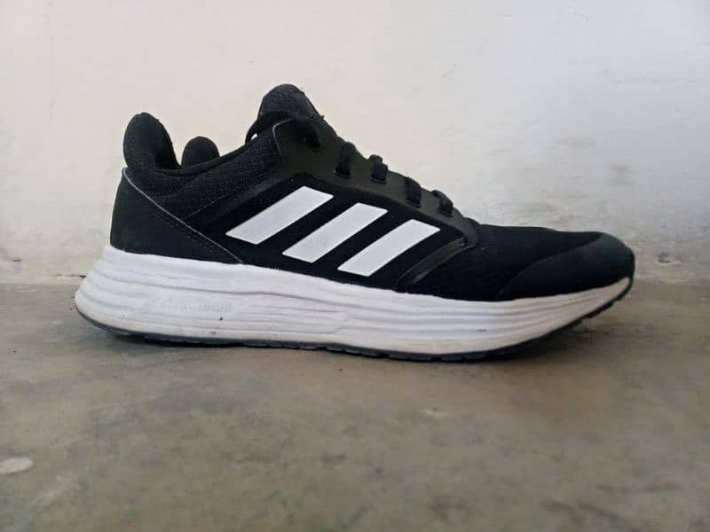 Adidas Running Shoes 1