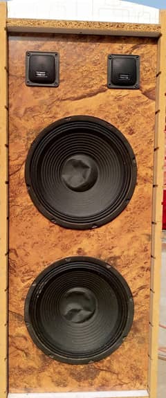 2 - 10 inch bass speakers with 2 tweeter installed in one Wooden Box