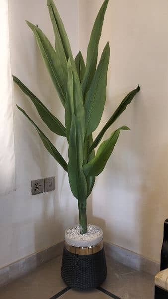 Artificial Plants - All Sizes 1