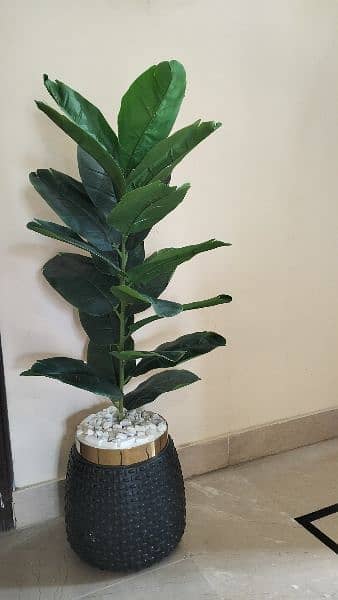 Artificial Plants - All Sizes 2