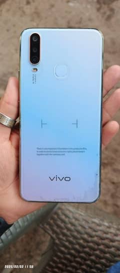 vivo