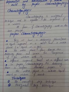 hand writing assignment work