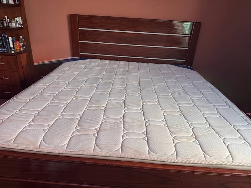 Celeste MasterPiece  (master molty foam) 2