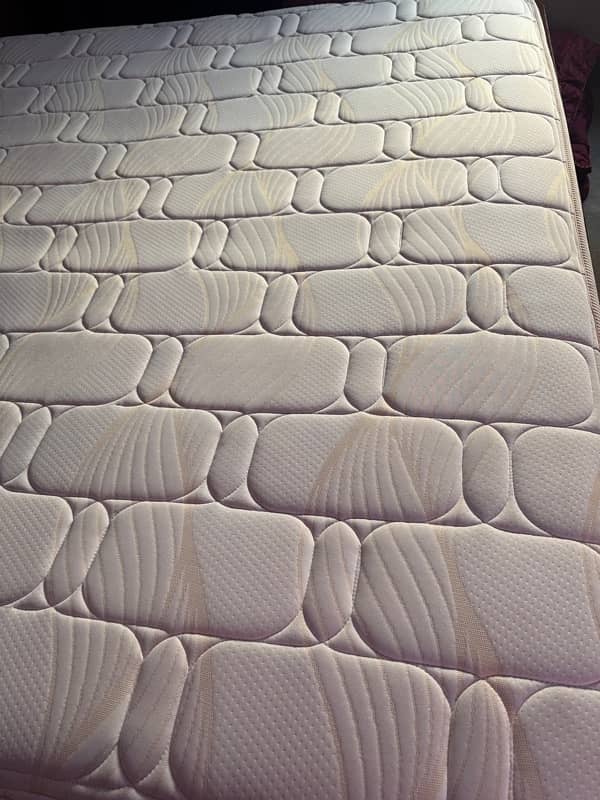 Celeste MasterPiece  (master molty foam) 4
