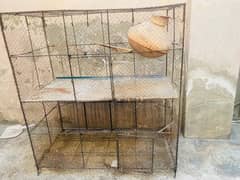 Colony size large cage # for sale for information inbox me