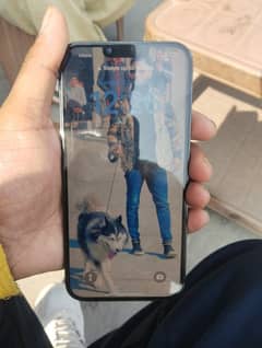 iphone 13 pro max 256 gb 10 by 10 non pta