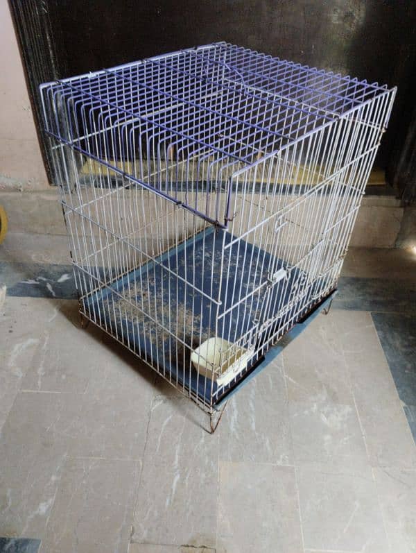 Birds cage 0