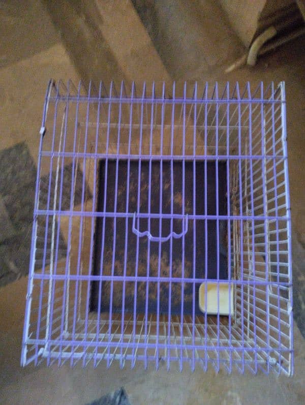 Birds cage 1