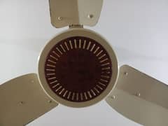 Star Asia Fan 100% Gurentee Copper