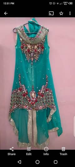 full embroidery designs dress