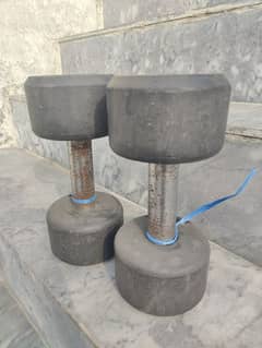 5 kg dumbbells (Pair, 5 kg each)