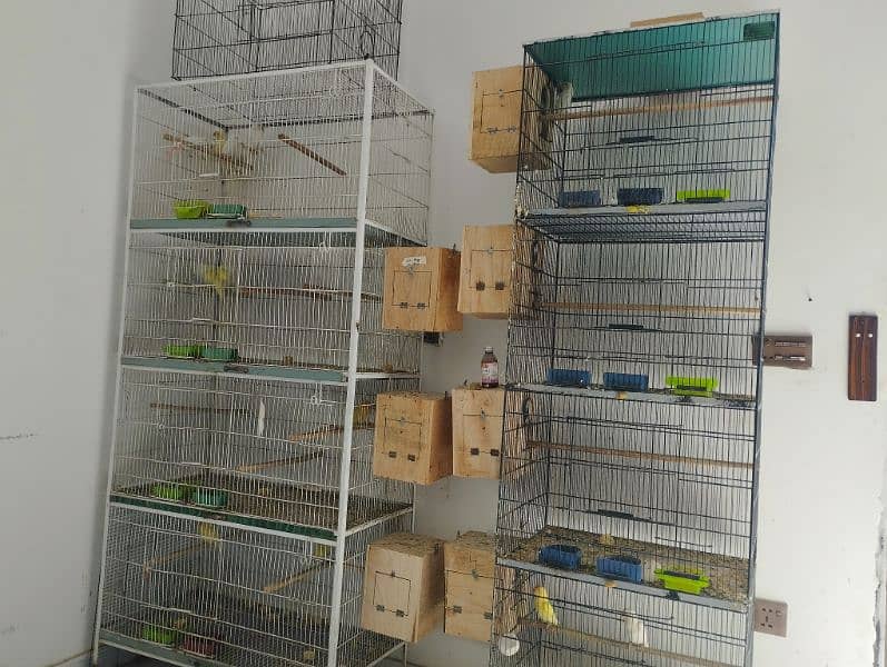 Complete setup with cages and box 9