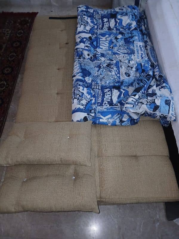 Molty Foam Sofa Come Bed 6 feet with two pillows 2