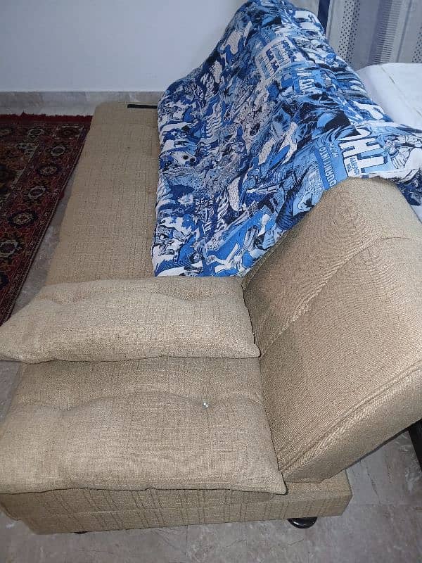 Molty Foam Sofa Come Bed 6 feet with two pillows 3