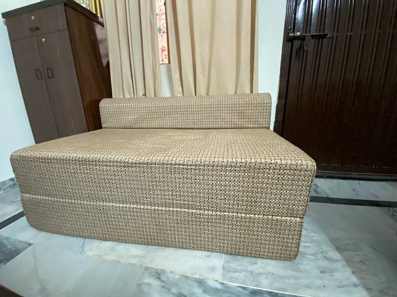 SofaCum Bed 1