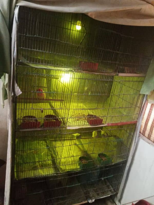 For Sale 12 Portion Cage For Sale 2