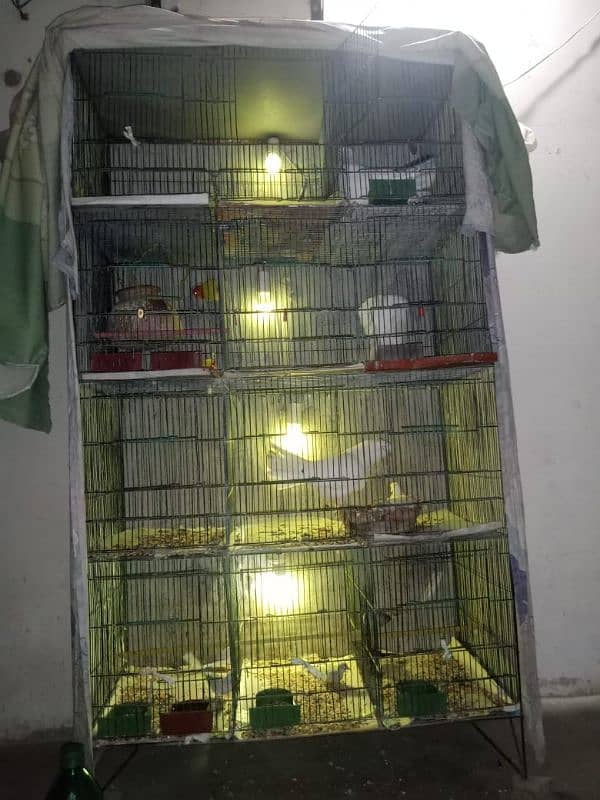 For Sale 12 Portion Cage For Sale 3