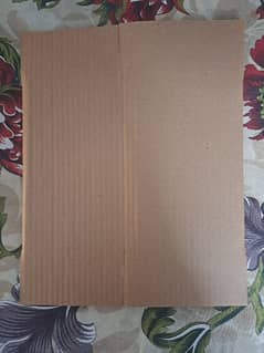 Corrugated Carton