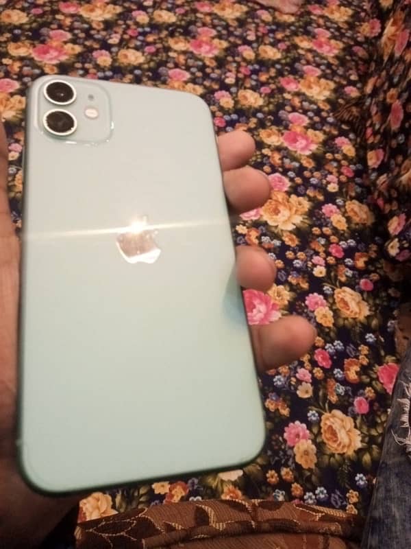 iphone 11 green colour 64 gb JV 1