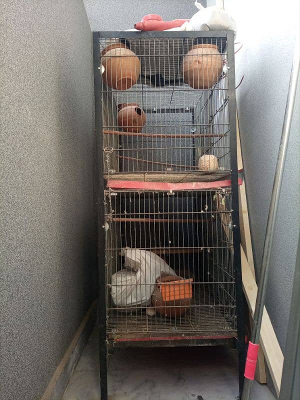 birds cage 0