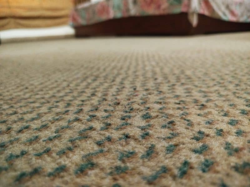 12ft×12ft Carpet in Good Condition for Sale with Affordable price 0