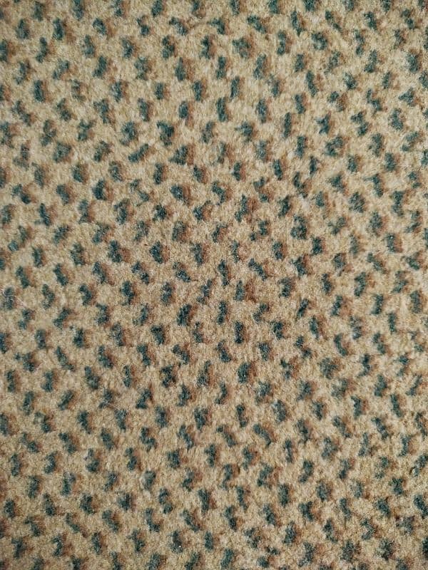 12ft×12ft Carpet in Good Condition for Sale with Affordable price 1