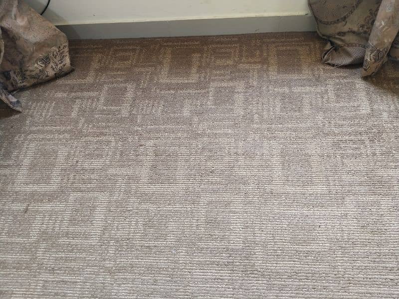 Barely One Month Used Carpet 0