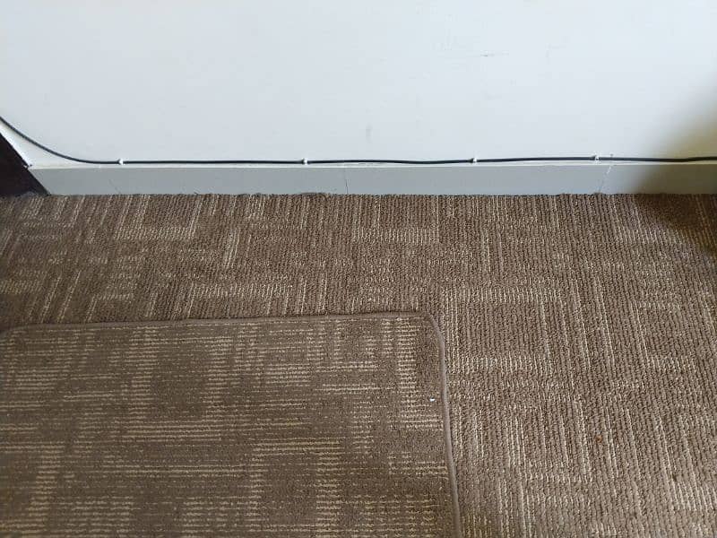 Barely One Month Used Carpet 4