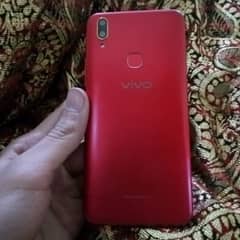 vivo