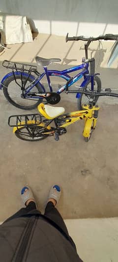 2 cycle f sale 1 classic bikes. 1 super shaino v good condition.