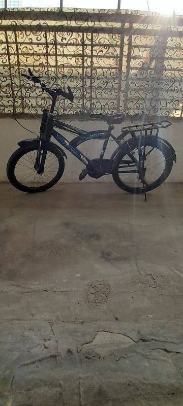 2 cycle f sale 1 classic bikes. 1 super shaino v good condition. 7