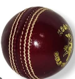 Cricket Hard ball